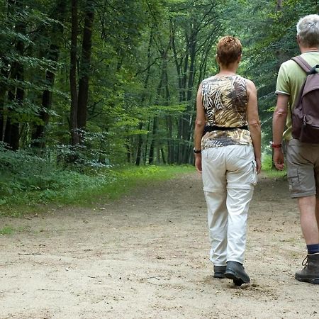 Camping De Binnenvaart Superior Chalet Aan de Wolfsberg Ngoại thất bức ảnh