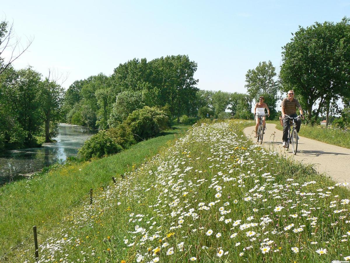 Camping De Binnenvaart Superior Chalet Aan de Wolfsberg Ngoại thất bức ảnh